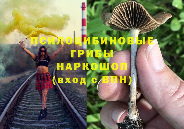 прущие крисы Абинск