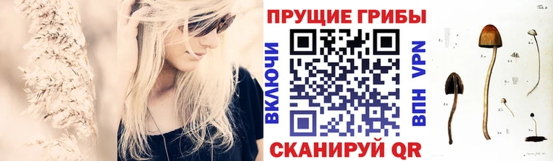 omg ССЫЛКА  Кисловодск  Псилоцибиновые грибы мицелий 