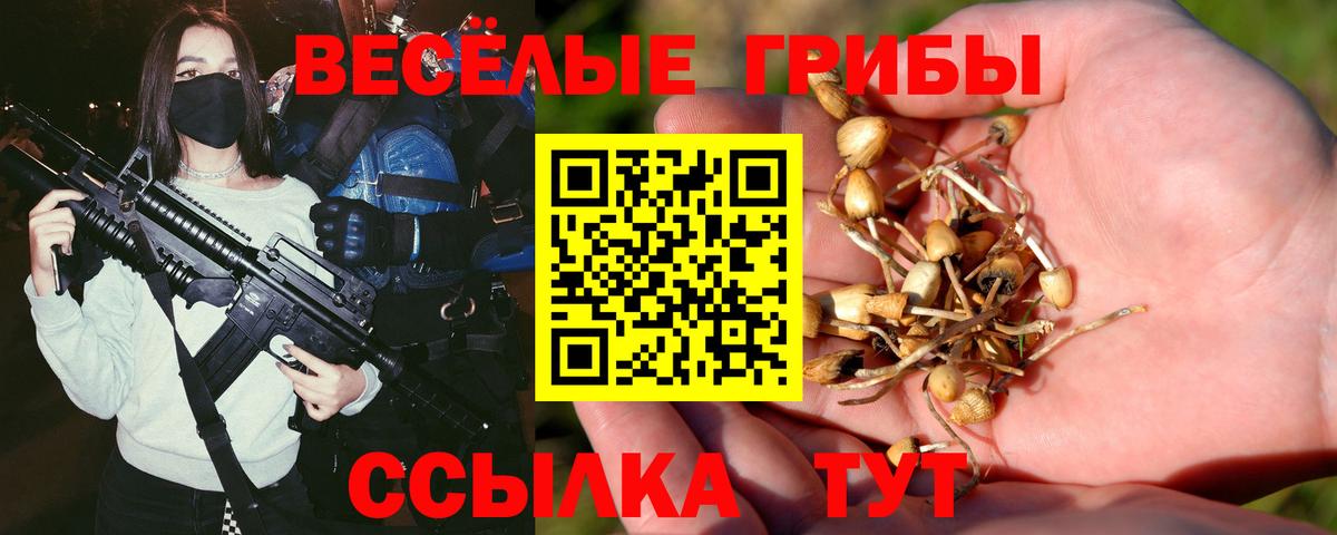 Кисловодск  Галлюциногенные грибы GOLDEN TEACHER  Псилоцибиновые грибы ЛСД  купить   Вход с VPN 
