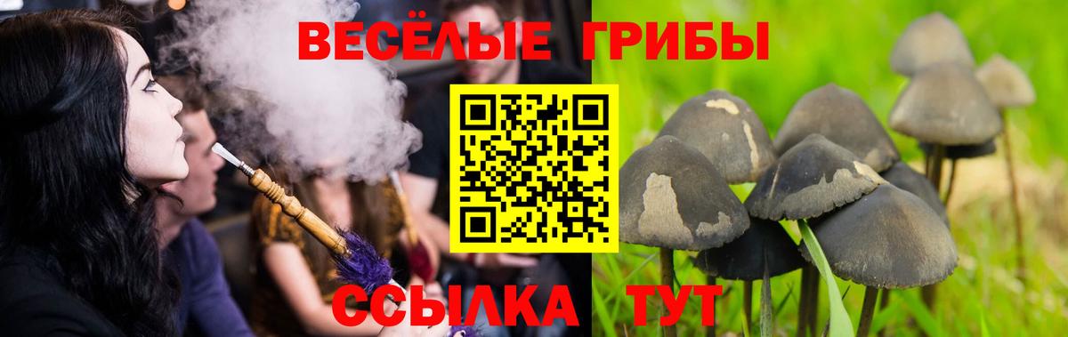 Псилоцибиновые грибы Magic Shrooms Кисловодск